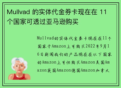 Mullvad 的实体代金券卡现在在 11 个国家可透过亚马逊购买 